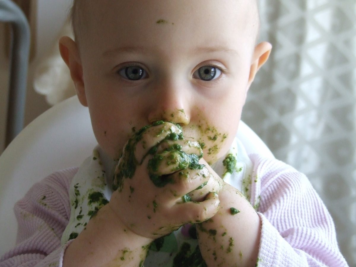 Alimentação infantil: comida para todos